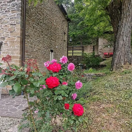 Appartement Le Fontanelle